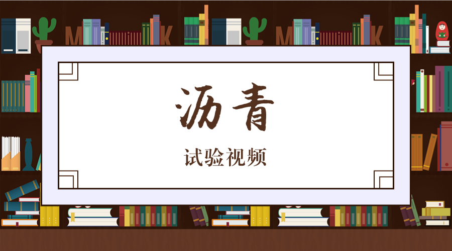 沥青及沥青混合料 封面